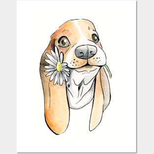 Basset Hound With Flower Posters and Art